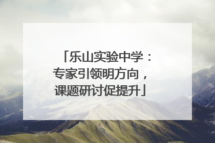 乐山实验中学：专家引领明方向，课题研讨促提升