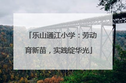 乐山通江小学：劳动育新苗，实践绽华光