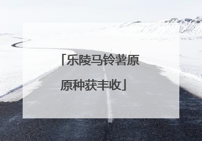乐陵马铃薯原原种获丰收