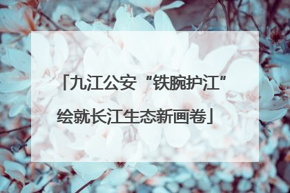 九江公安“铁腕护江”绘就长江生态新画卷