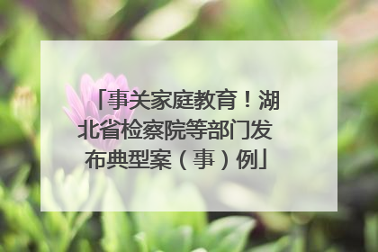 事关家庭教育！湖北省检察院等部门发布典型案（事）例