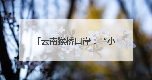 云南猴桥口岸：“小村庄”变“大市场”