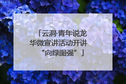 云洞·青年说龙华微宣讲活动开讲“向绿图强”