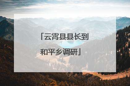 云霄县县长到和平乡调研