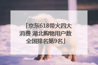 京东618带火四大消费 湖北购物用户数全国排名第9名