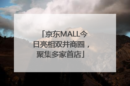 京东MALL今日亮相双井商圈，聚集多家首店