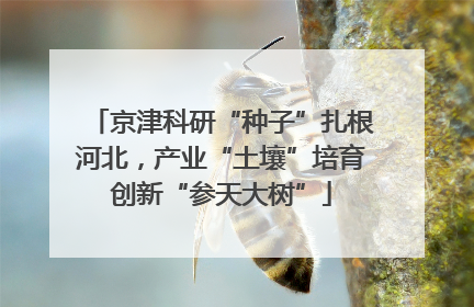 京津科研“种子”扎根河北，产业“土壤”培育创新“参天大树”