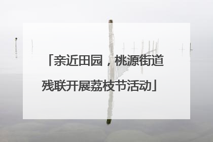 亲近田园，桃源街道残联开展荔枝节活动