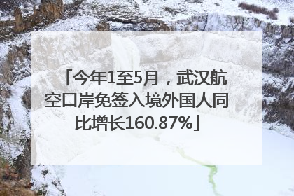 今年1至5月，武汉航空口岸免签入境外国人同比增长160.87%