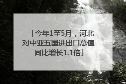 今年1至5月，河北对中亚五国进出口总值同比增长1.1倍