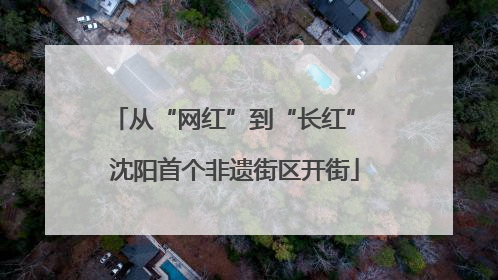 从“网红”到“长红” 沈阳首个非遗街区开街