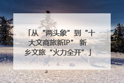 从“两头象”到“十大文商旅新IP” 新乡文旅“火力全开”