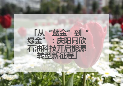 从“蓝金”到“绿金”：庆阳同欣石油科技开启能源转型新征程