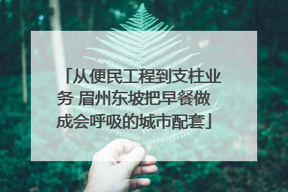 从便民工程到支柱业务 眉州东坡把早餐做成会呼吸的城市配套