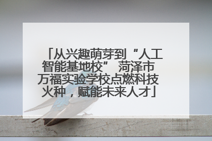 从兴趣萌芽到“人工智能基地校” 菏泽市万福实验学校点燃科技火种，赋能未来人才