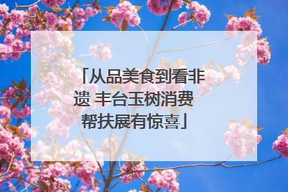 从品美食到看非遗 丰台玉树消费帮扶展有惊喜