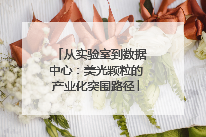 从实验室到数据中心：美光颗粒的产业化突围路径