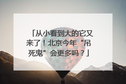 从小看到大的它又来了！北京今年“吊死鬼”会更多吗？