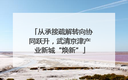 从承接疏解转向协同跃升，武清京津产业新城“焕新”