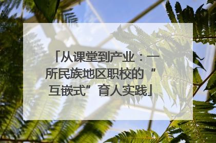 从课堂到产业：一所民族地区职校的“互嵌式”育人实践