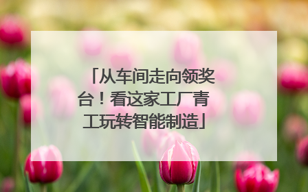从车间走向领奖台！看这家工厂青工玩转智能制造