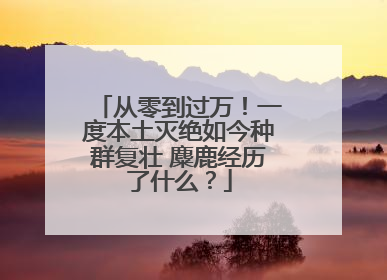 从零到过万！一度本土灭绝如今种群复壮 麋鹿经历了什么？