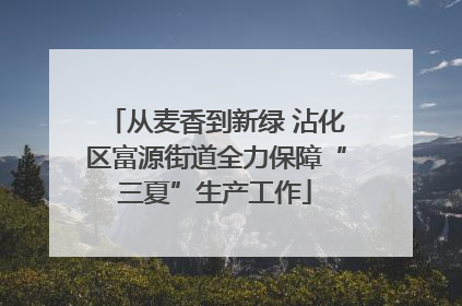 从麦香到新绿 沾化区富源街道全力保障“三夏”生产工作