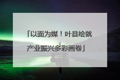 以面为媒！叶县绘就产业振兴多彩画卷