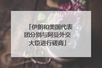伊朗和美国代表团分别与阿曼外交大臣进行磋商