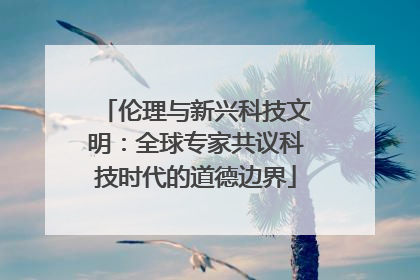 伦理与新兴科技文明：全球专家共议科技时代的道德边界