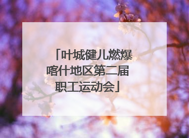 叶城健儿燃爆喀什地区第二届职工运动会
