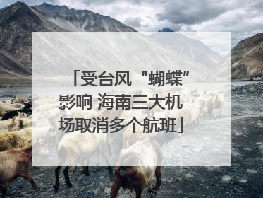 受台风“蝴蝶”影响 海南三大机场取消多个航班