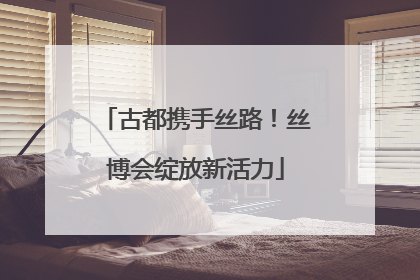 古都携手丝路！丝博会绽放新活力