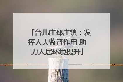 台儿庄邳庄镇：发挥人大监督作用 助力人居环境提升