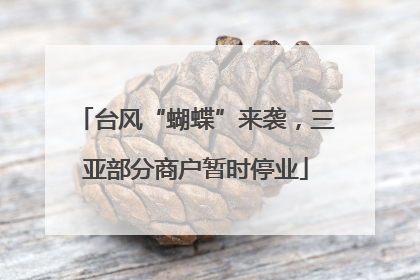 台风“蝴蝶”来袭，三亚部分商户暂时停业