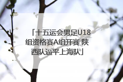 十五运会男足U18组资格赛A组开赛 陕西队逼平上海队