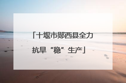 十堰市郧西县全力抗旱“稳”生产