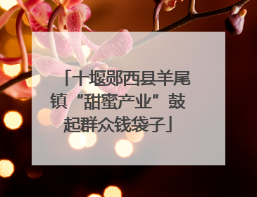 十堰郧西县羊尾镇“甜蜜产业”鼓起群众钱袋子