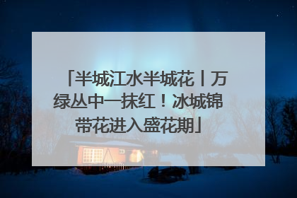 半城江水半城花丨万绿丛中一抹红！冰城锦带花进入盛花期