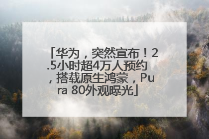 华为，突然宣布！2.5小时超4万人预约，搭载原生鸿蒙，Pura 80外观曝光