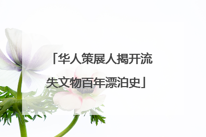 华人策展人揭开流失文物百年漂泊史