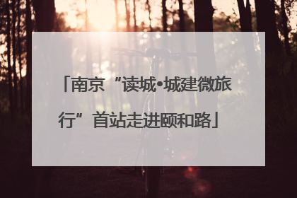 南京“读城•城建微旅行”首站走进颐和路