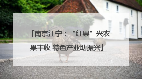 南京江宁：“红果”兴农果丰收 特色产业助振兴