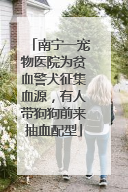 南宁一宠物医院为贫血警犬征集血源，有人带狗狗前来抽血配型