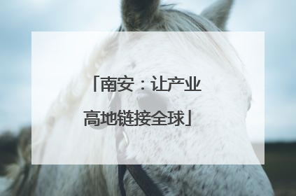 南安：让产业高地链接全球