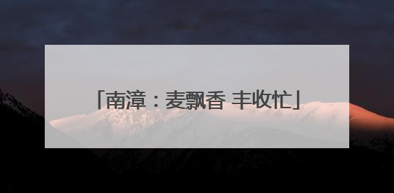 南漳：麦飘香 丰收忙