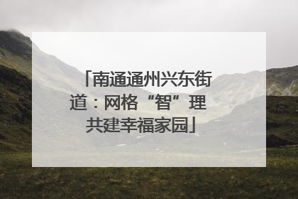 南通通州兴东街道：网格“智”理 共建幸福家园