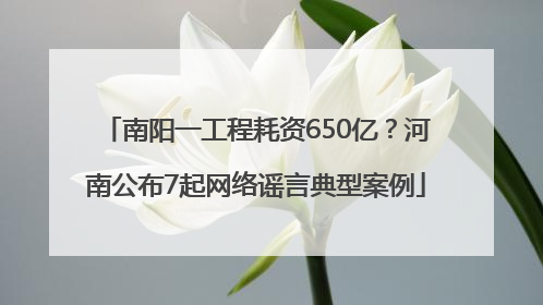 南阳一工程耗资650亿？河南公布7起网络谣言典型案例