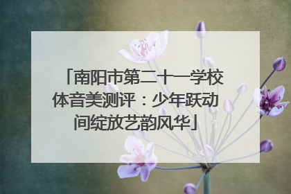 南阳市第二十一学校体音美测评：少年跃动间绽放艺韵风华