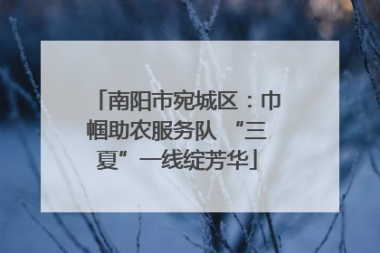南阳市宛城区：巾帼助农服务队 “三夏”一线绽芳华